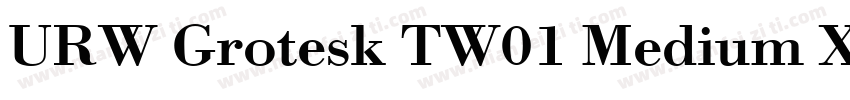 URW Grotesk TW01 Medium XWide字体转换